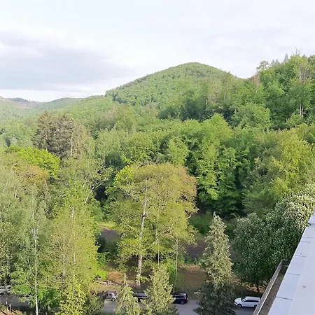 Kristin Pohl Bad Harzburg